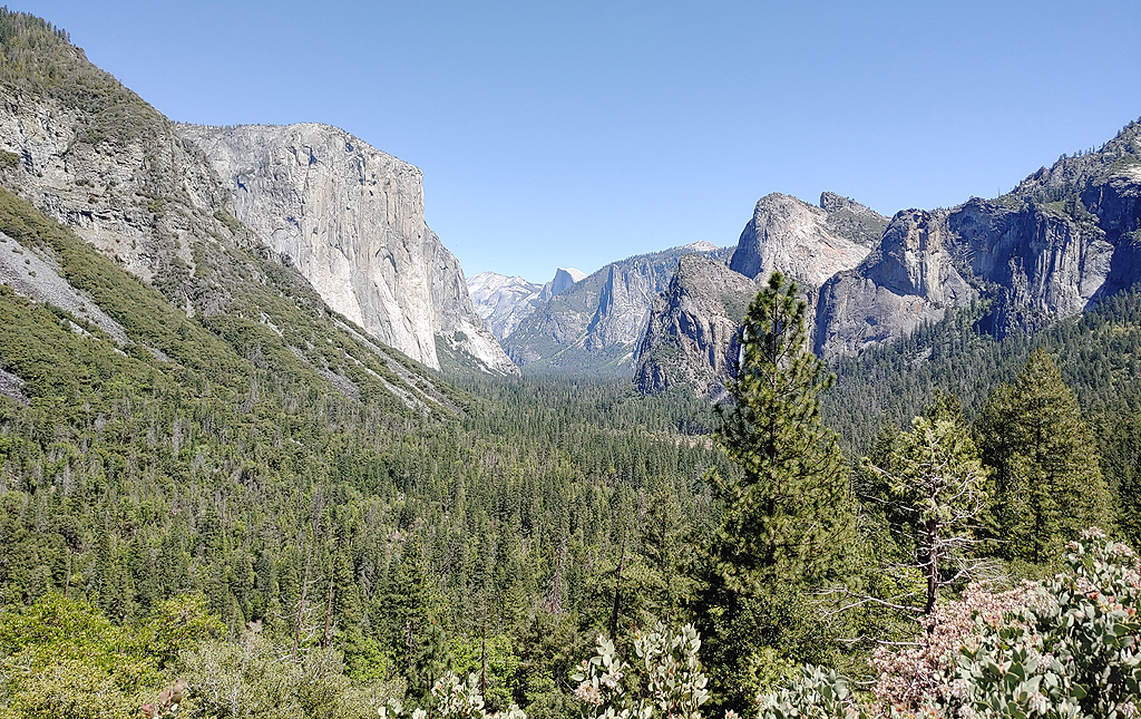 Yosemite National Park, CA