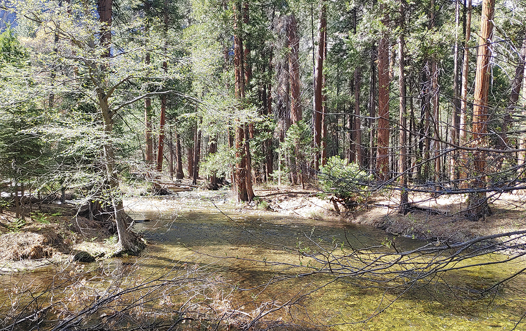 Yosemite National Park, CA