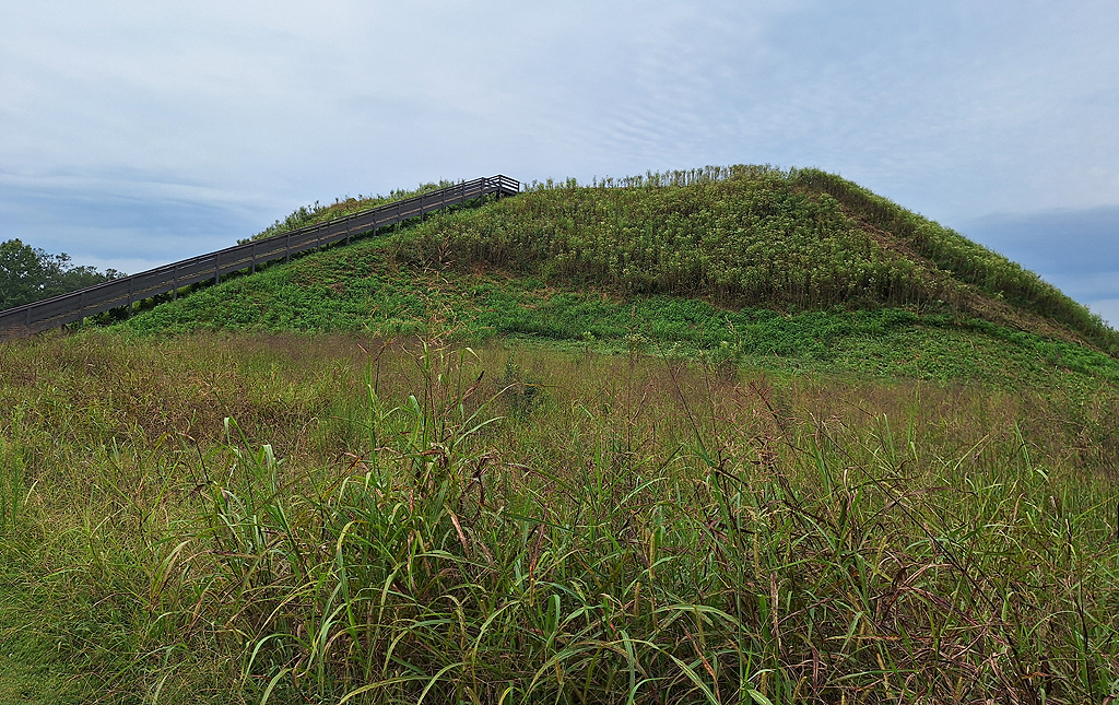 Etowah Mounds in Georgia, by Laurie Stevens