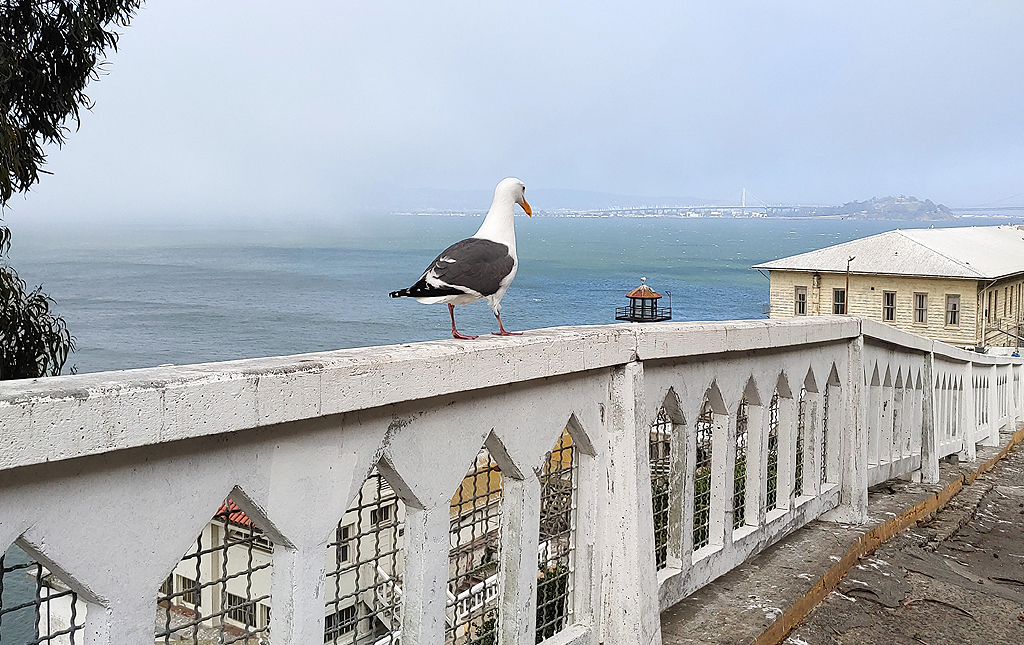 Alcatraz Prison, CA