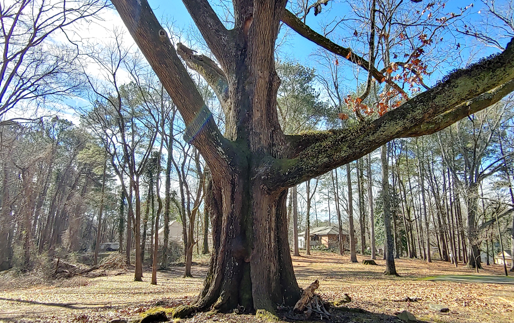 The Jeremiah S Gilbert House, Atlanta, Georgia