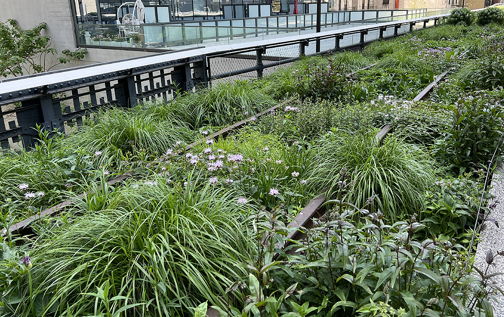 New York City's Highline Park